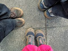 -羚羊峡古栈道森林公园