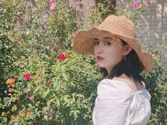 -玫瑰小镇