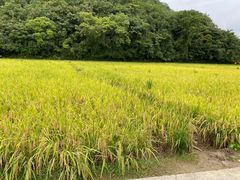 -贵阳市花溪国家城市湿地公园