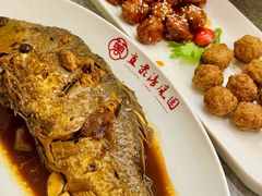功夫鱼-清风园肘子馆(万家大激店)