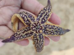 -东戴河风景区-止锚湾