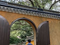 -普陀山风景名胜区-法雨禅寺
