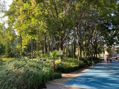 -苏州河梦清园环保主题公园