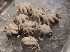 白灼章鱼-铭聚章鱼土笋冻(松柏店)