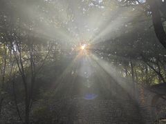 -井塘古村