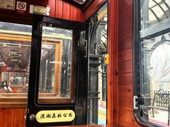 -合肥滨湖国家森林公园