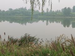 -东郊湿地公园