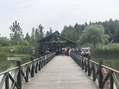 -溱湖国家湿地公园