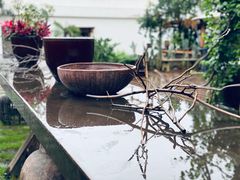 -三圣花乡旅游区