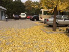 -北京动物园-畅观楼