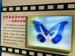 -上海昆虫博物馆