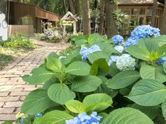 -同里国家湿地公园