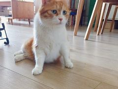 -明记海鲜美食老字号(明记总店)