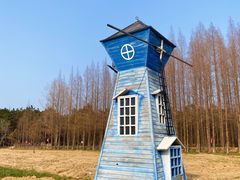 -日照海滨国家森林公园