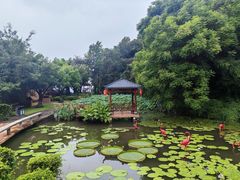 -广州莲花山旅游区