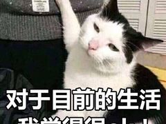 -小确幸吉他(北大街校区)