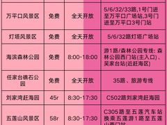 -日照灯塔风景区