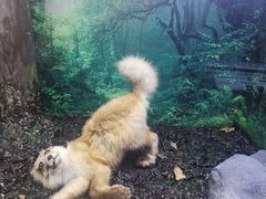 -天津自然博物馆