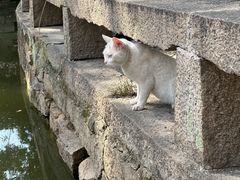-西园戒幢律寺