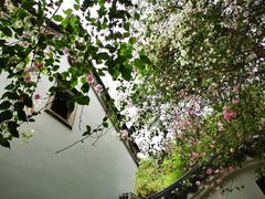 -深圳国际园林花卉博览园