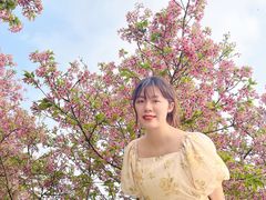 -天适樱花悠乐园