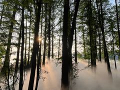 -东湖落雁景区