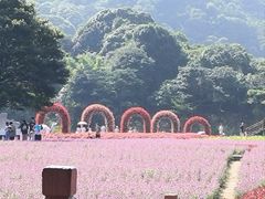 -广州市石门国家森林公园