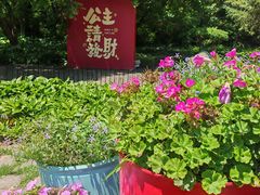 -沈阳植物园