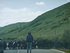 -黄河九曲第一湾