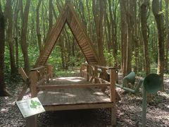 -同里国家湿地公园
