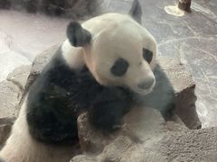 -济南野生动物世界