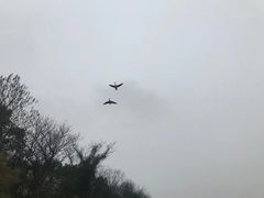 -鄱阳湖国家湿地公园