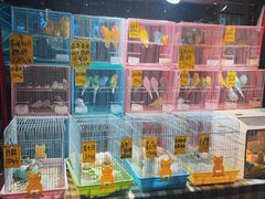 -伊藤洋华堂(高新店)