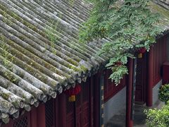 -白云观