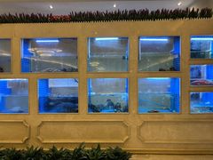 -皇朝尊会(龙之梦大酒店)