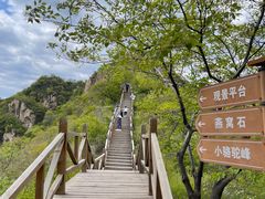 -大岭沟猕猴桃谷风景区