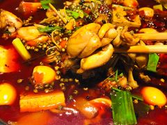 -宽口美蛙鱼头(大唐西市店)