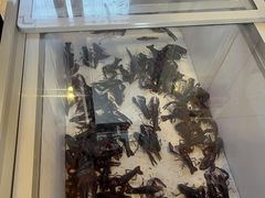 -崔孃烧烤