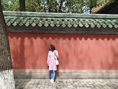 -北京国子监胡同
