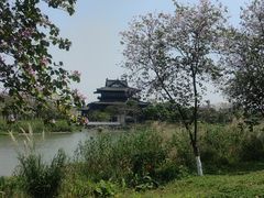 -海珠湖公园