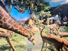 -国家自然博物馆