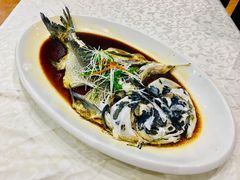 清蒸西海胖头鱼-雅和生态渔庄·宜城锅巴饭(龙灵山公园店)