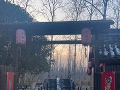 -合肥滨湖国家森林公园