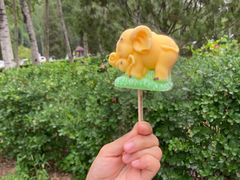 -秦皇岛野生动物园