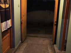 -ZING鲸鱼啤酒(葡萄院店)