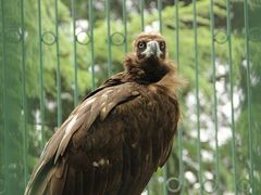 -宿豫区运河湾森林动物园