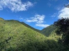 -大奇山国家森林公园