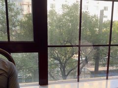 -老广酒楼(樱花店)