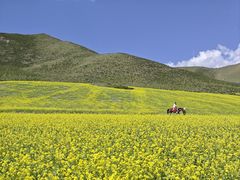 -扁都口生态休闲旅游区
