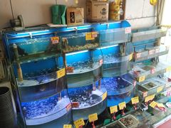 水产区-蔚海之都·象山蒸汽海鲜(仙霞路店)
